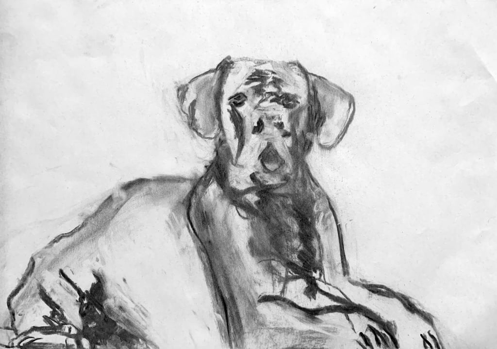 Portrait of a dog in charcoal