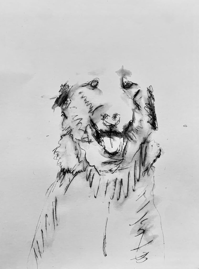 Ritratto di cane a penna