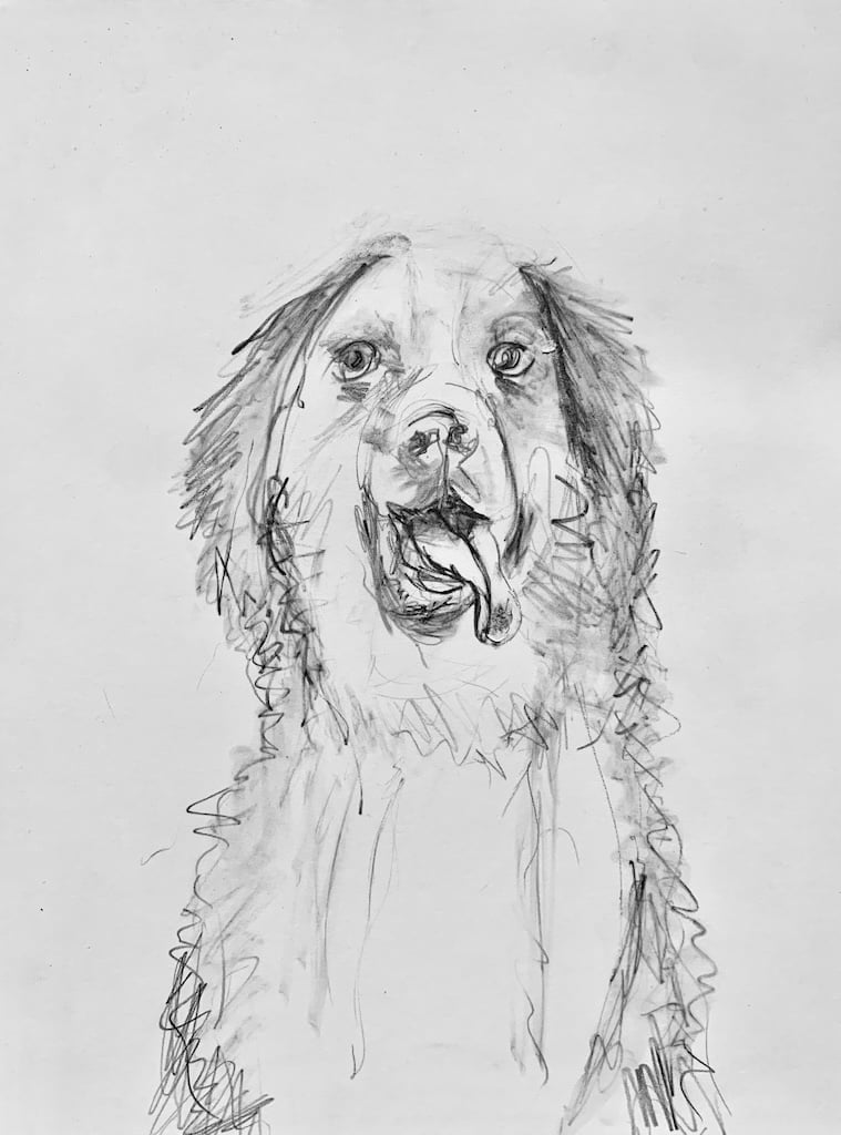 Portrait of a dog with graphite