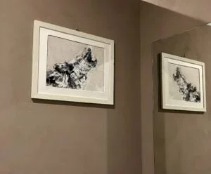 Eco selvaggio - immagine 2