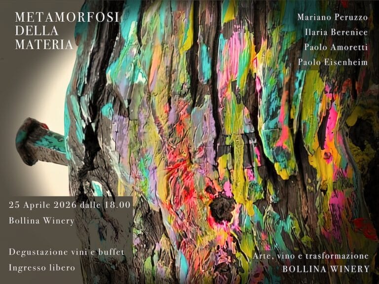 METAMORPHOSIS OF MATTER POSTER